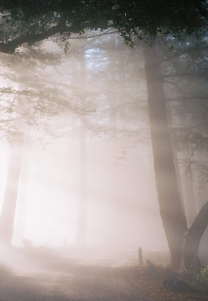 19 10 01 2019 06 Honeymoon Big Sur 1 10 710x1024