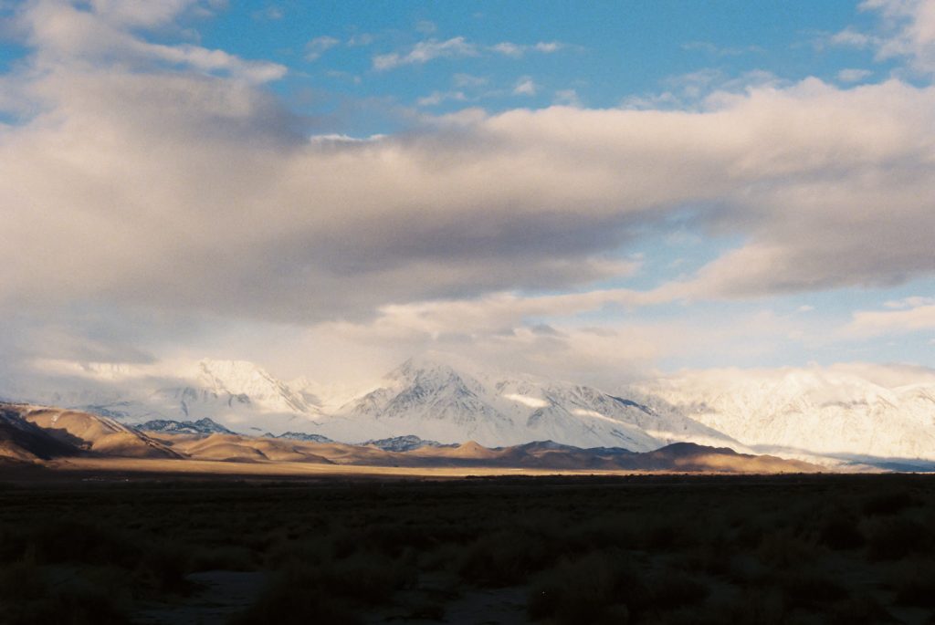 19 10 18 2019 02 Bishop  3 1024x685