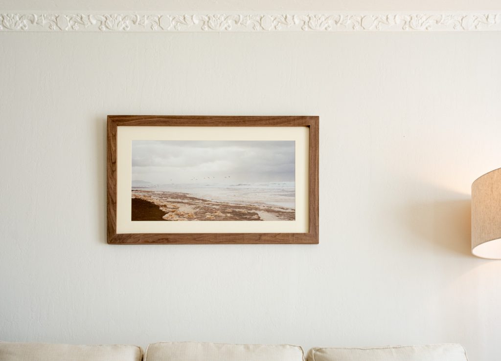 20 04 22 Framing OB Birds8785 1024x739