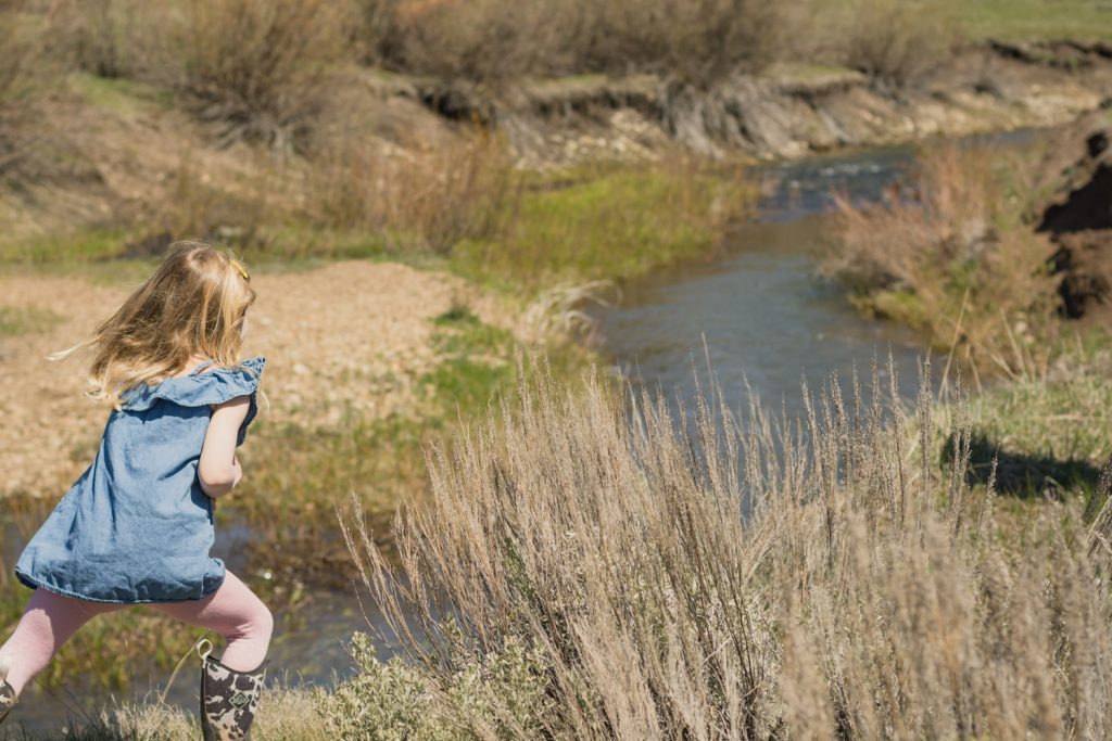 20 04 28 Walkers Truckee9019 1024x683