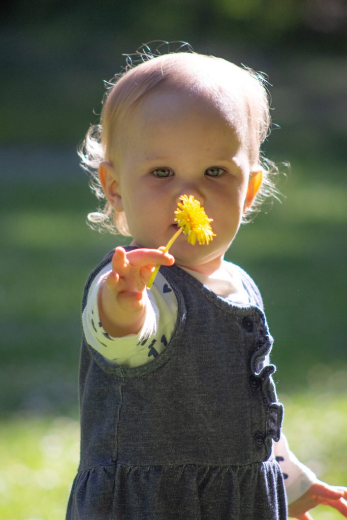 20 05 03 Dunbar Stern Grove1100 683x1024